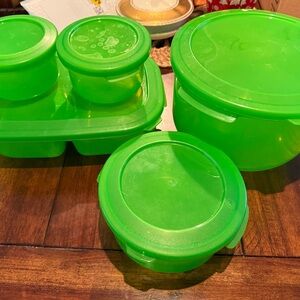 Debbie Meyer Green Food Storage Container Set